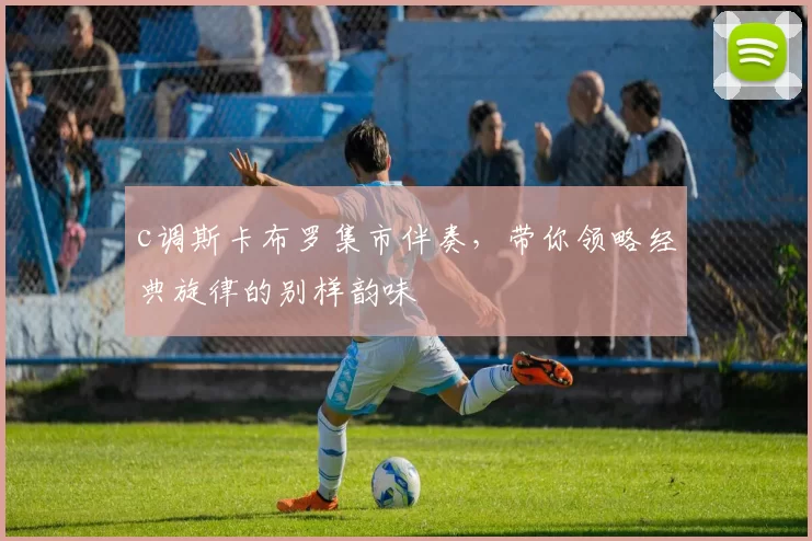 c调斯卡布罗集市伴奏，带你领略经典旋律的别样韵味