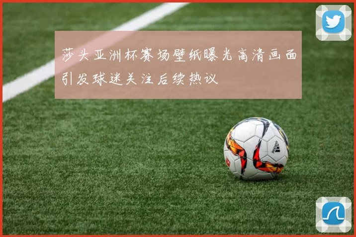 莎头亚洲杯赛场壁纸曝光高清画面引发球迷关注后续热议